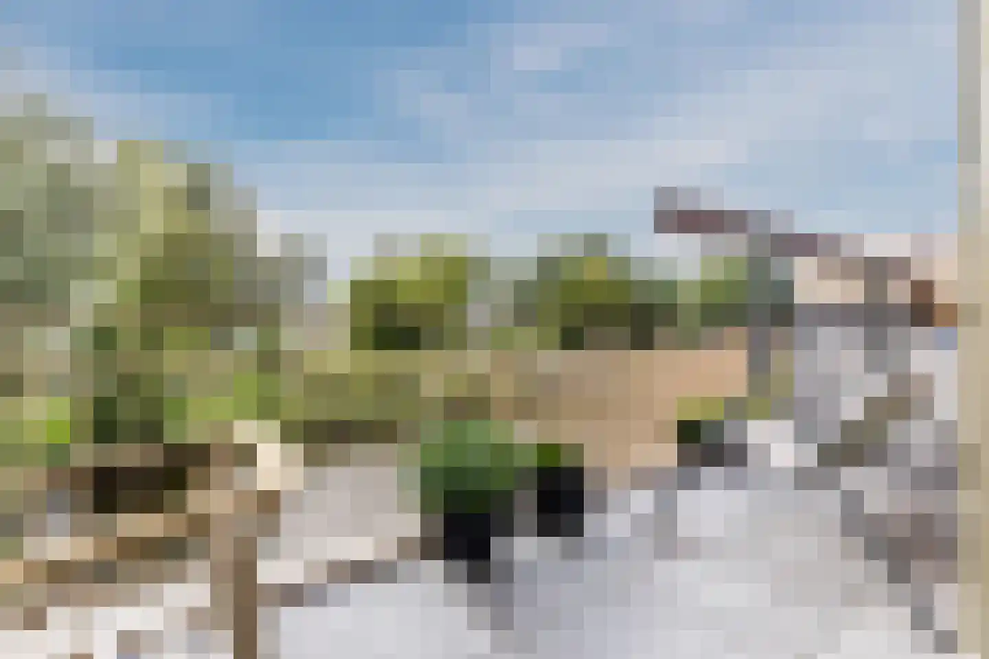 Nina Simonehof 23 Zaandijk thumbnail 34