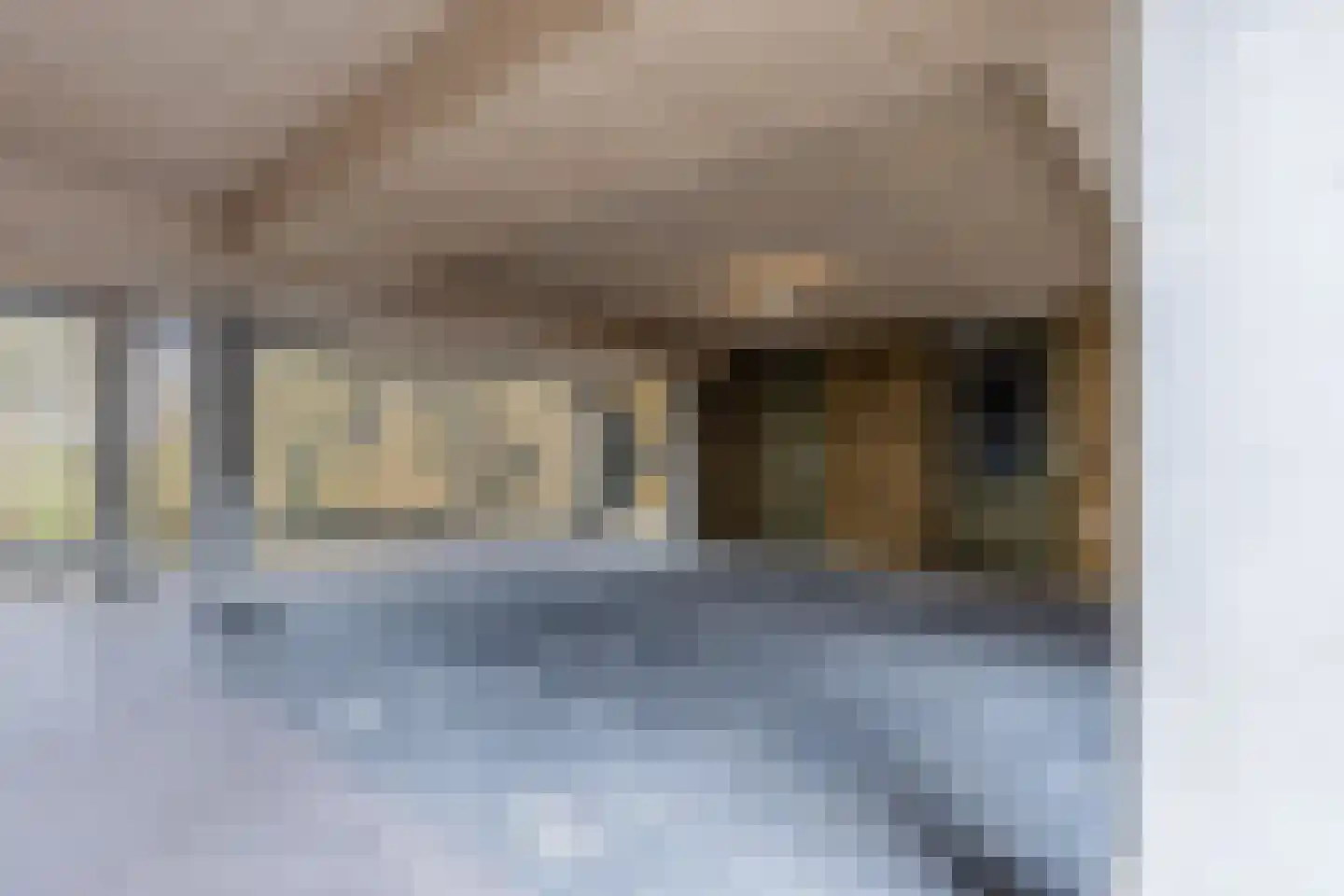Nina Simonehof 23 Zaandijk thumbnail 39