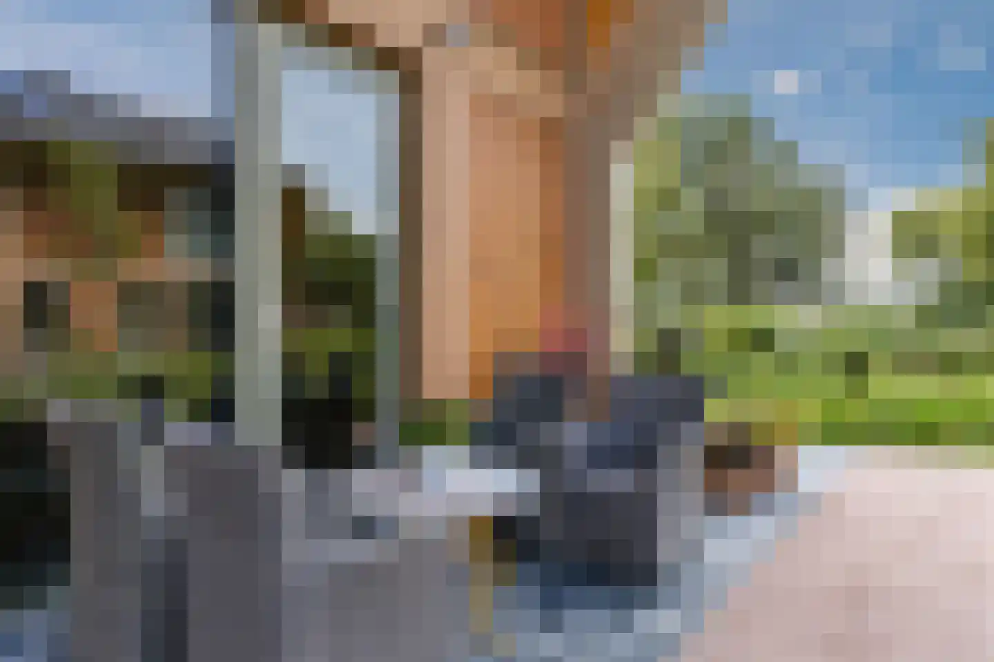 Nina Simonehof 23 Zaandijk thumbnail 4