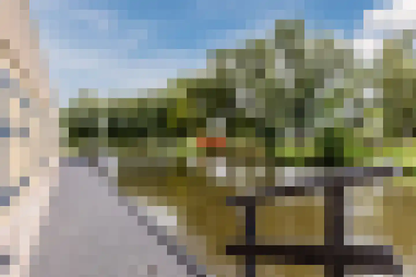 Nina Simonehof 23 Zaandijk thumbnail 41
