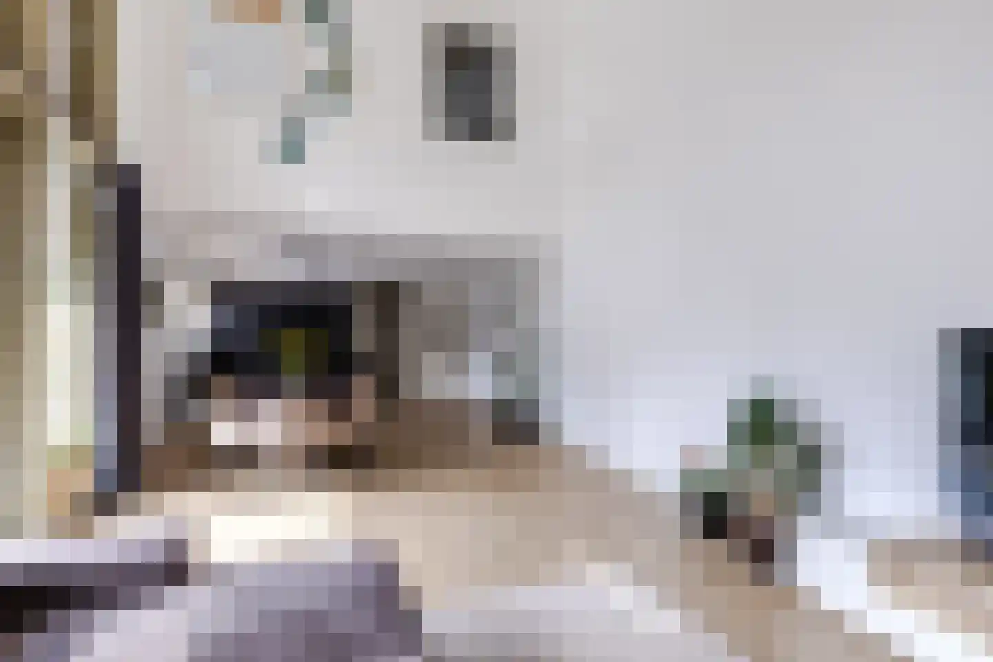 Nina Simonehof 23 Zaandijk thumbnail 8