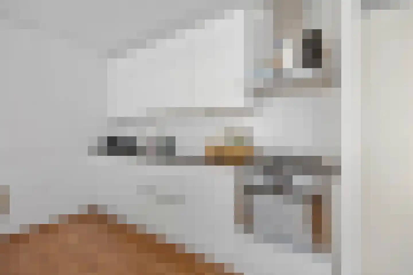 Nina Simonestraat 124 Nijmegen thumbnail 9