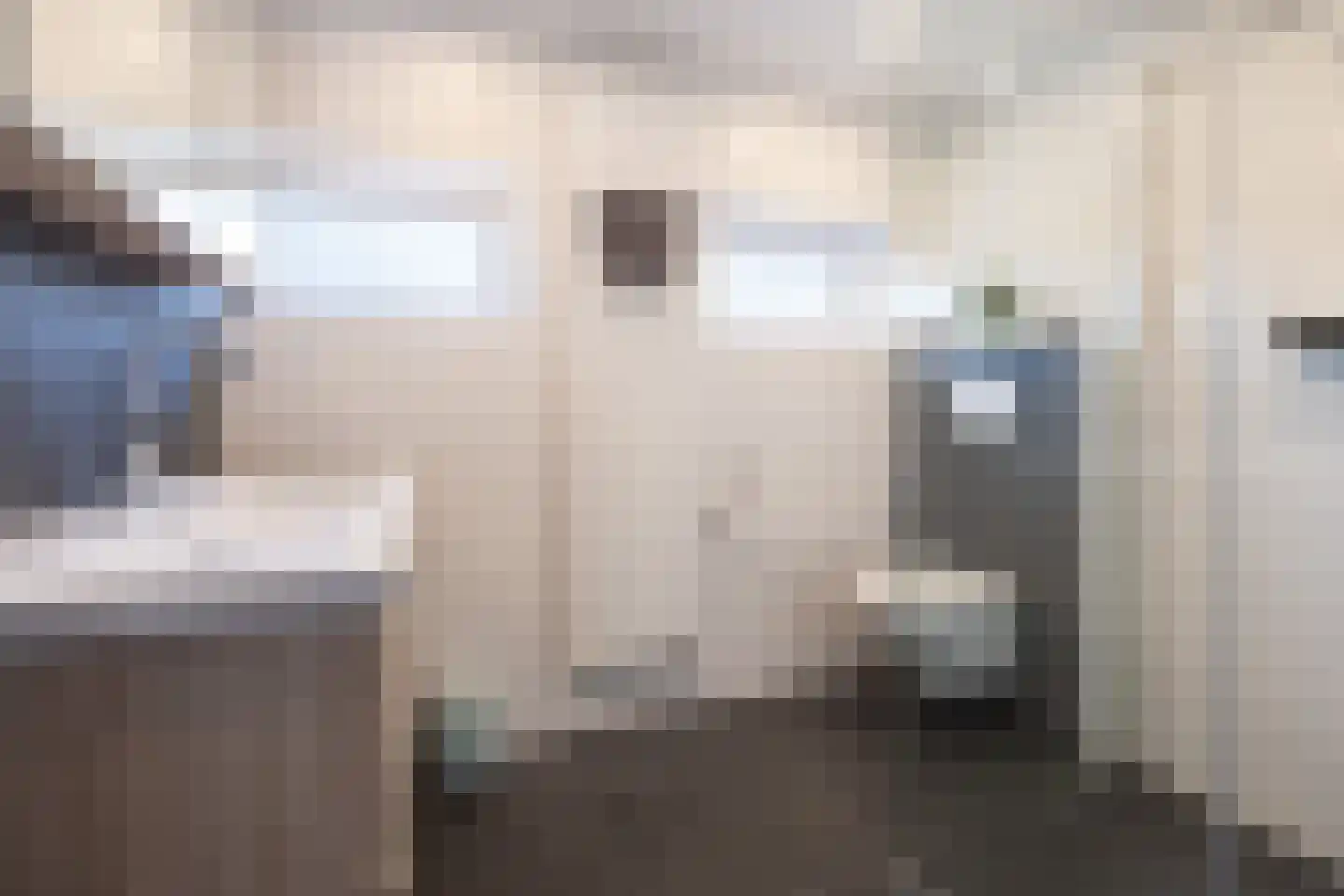 Ninaber van Eijbenlaan 6 Driebergen-Rijsenburg thumbnail 23