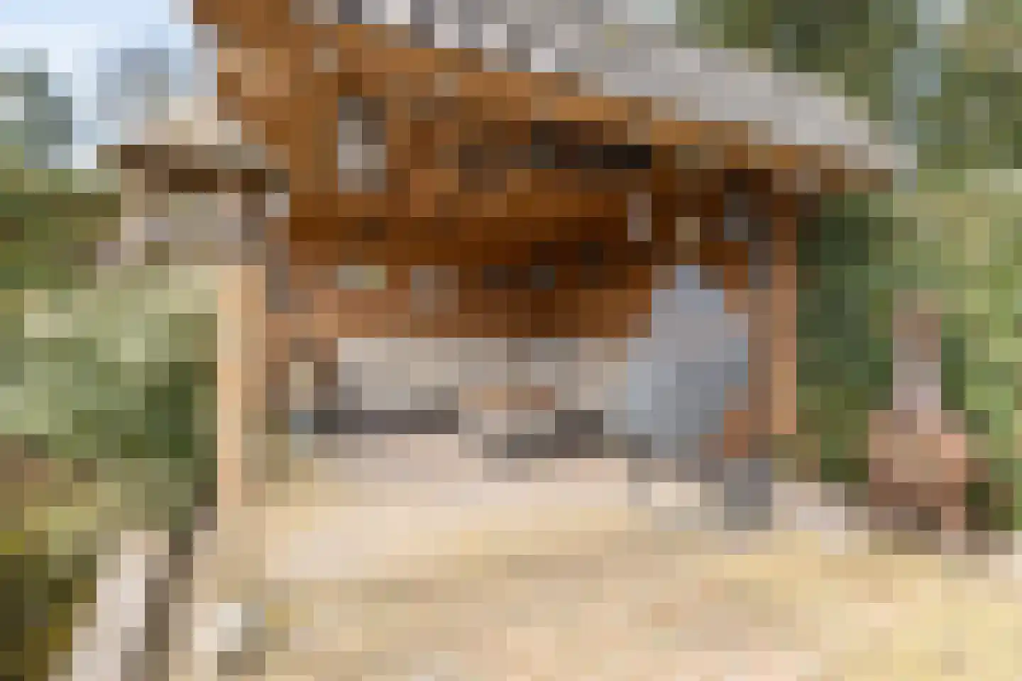 Ninaber van Eijbenlaan 6 Driebergen-Rijsenburg thumbnail 36