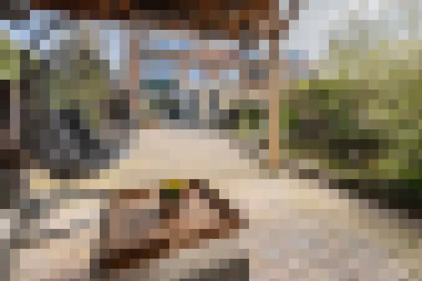 Ninaber van Eijbenlaan 6 Driebergen-Rijsenburg thumbnail 37