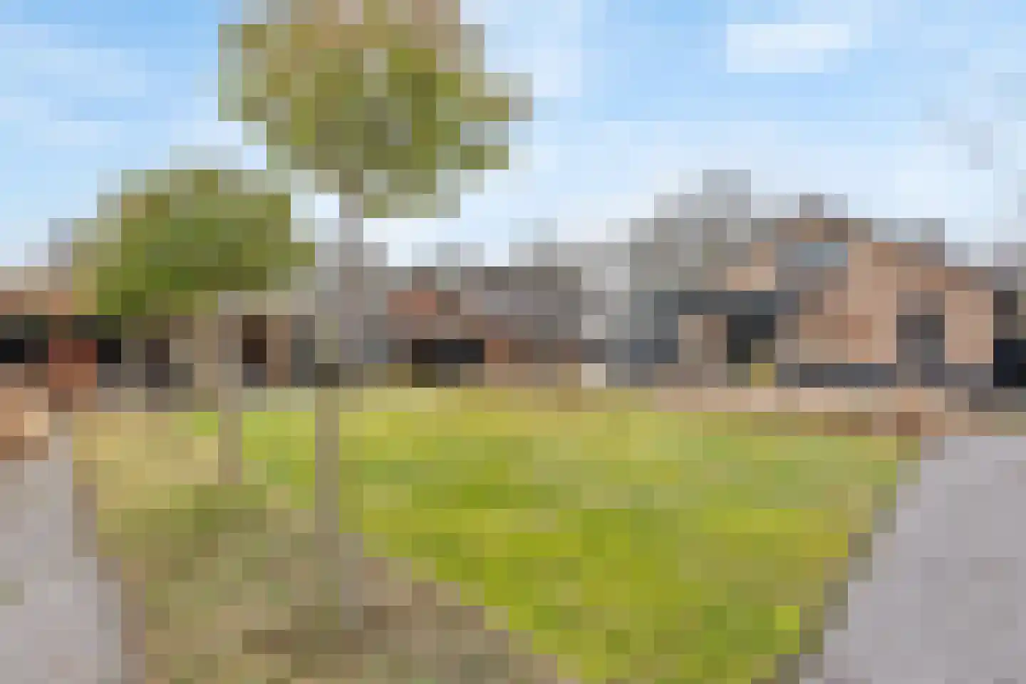 Ninaberlaan 18 Hellendoorn thumbnail 25