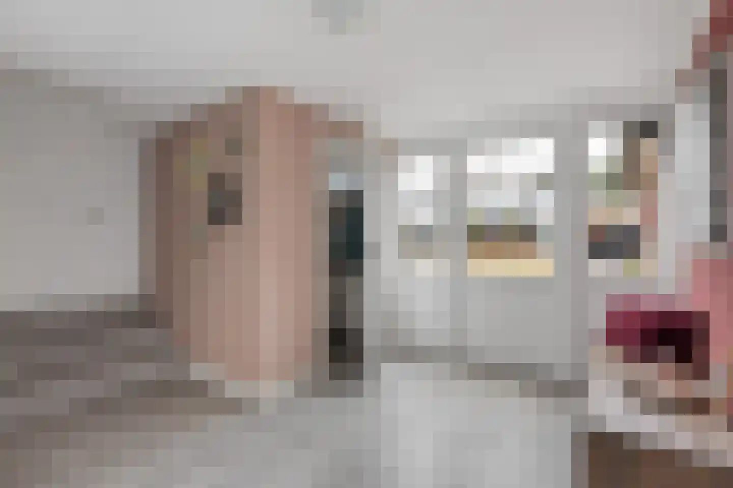 Ninaberlaan 18 Hellendoorn thumbnail 4
