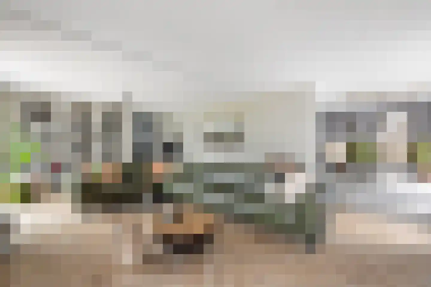 Ninaberlaan 18 Hellendoorn thumbnail 8
