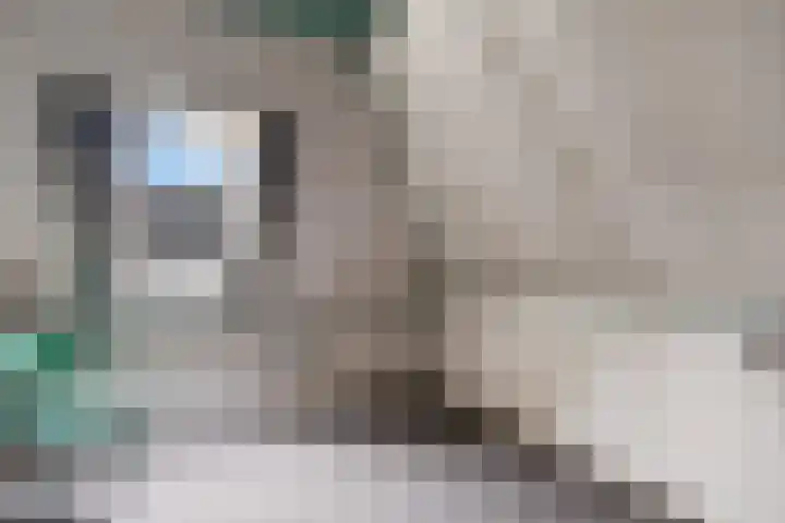 Ninaberlaan 26 Hellendoorn thumbnail 19