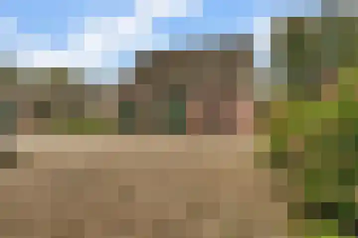 Ninaberlaan 26 Hellendoorn thumbnail 22