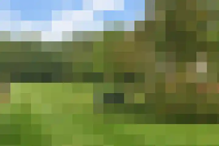Ninaberlaan 26 Hellendoorn thumbnail 27