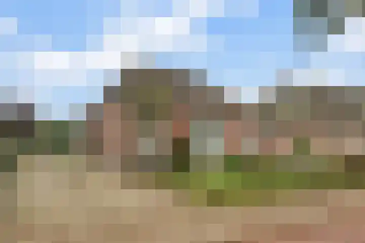 Ninaberlaan 26 Hellendoorn thumbnail 31