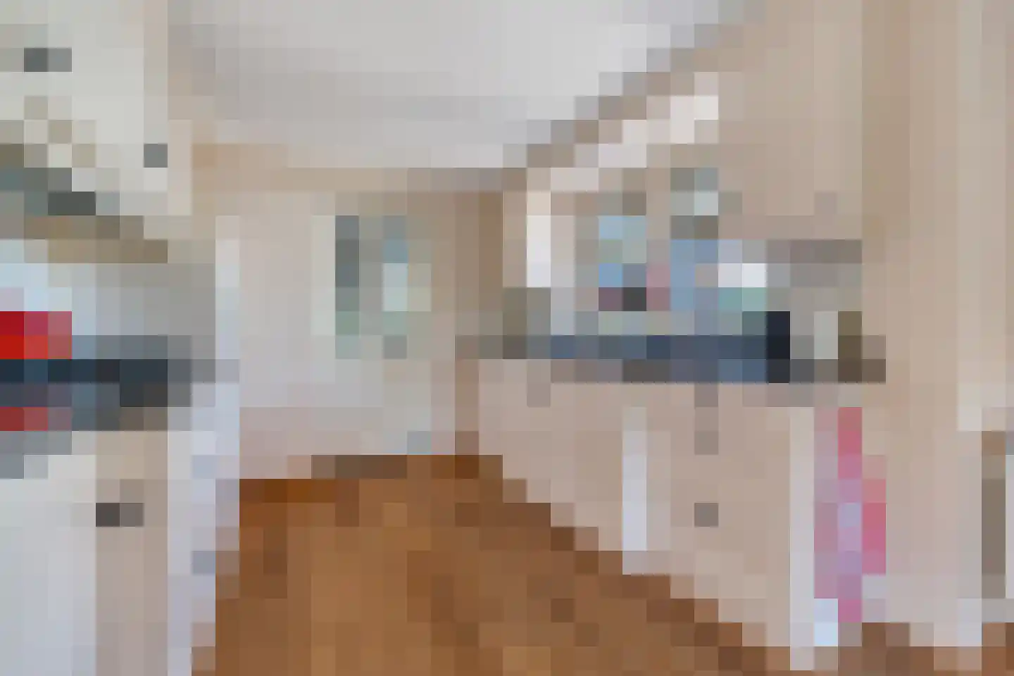 Ninaberlaan 34 h Hellendoorn thumbnail 10
