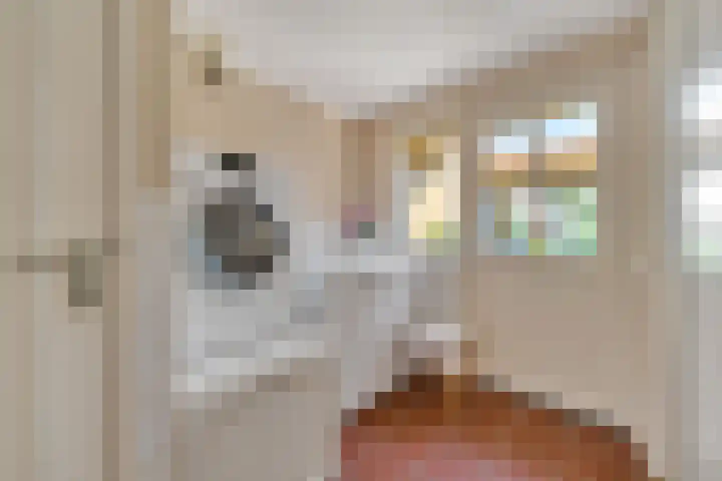 Ninaberlaan 34 h Hellendoorn thumbnail 14