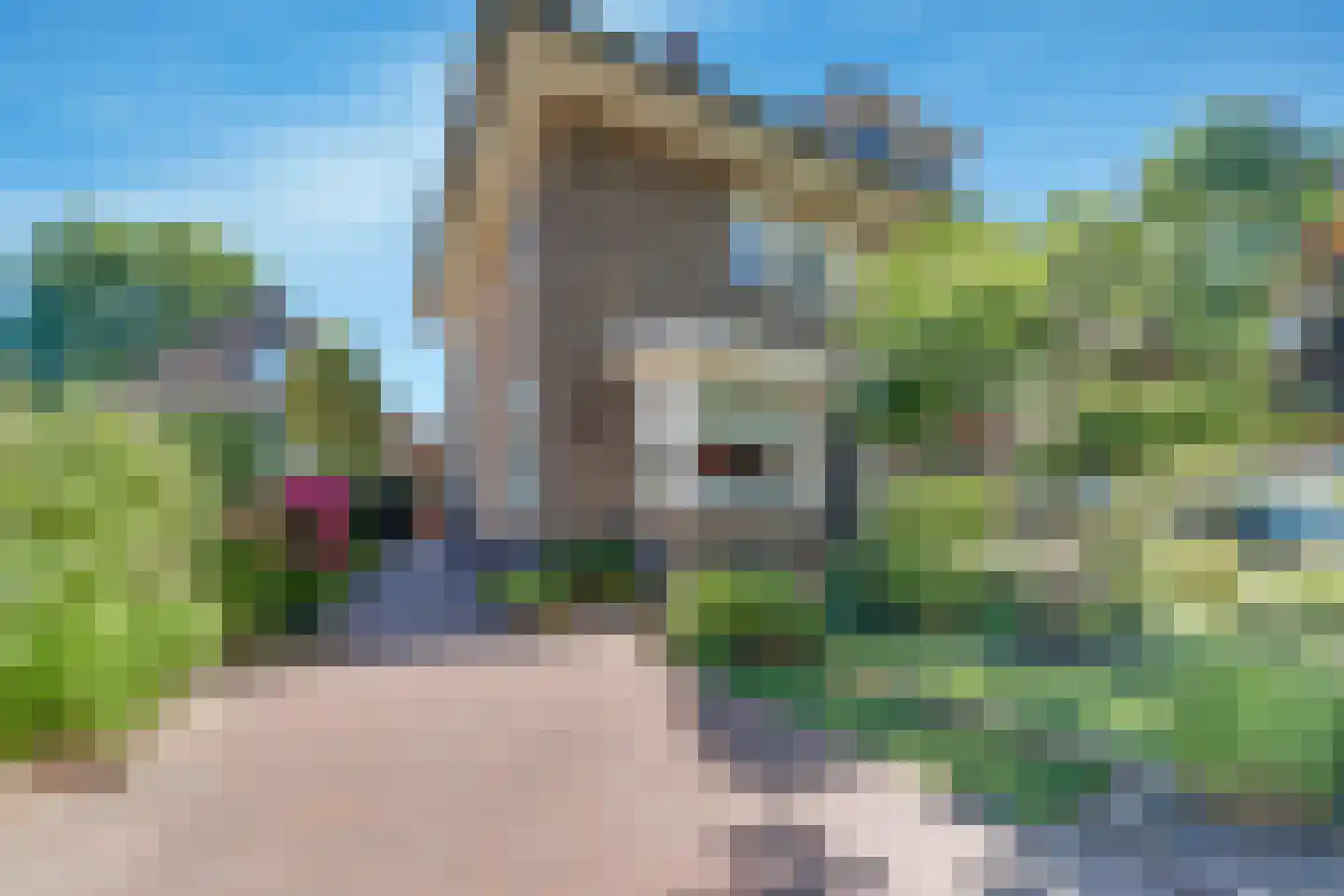 Ninaberlaan 34 h Hellendoorn thumbnail 36