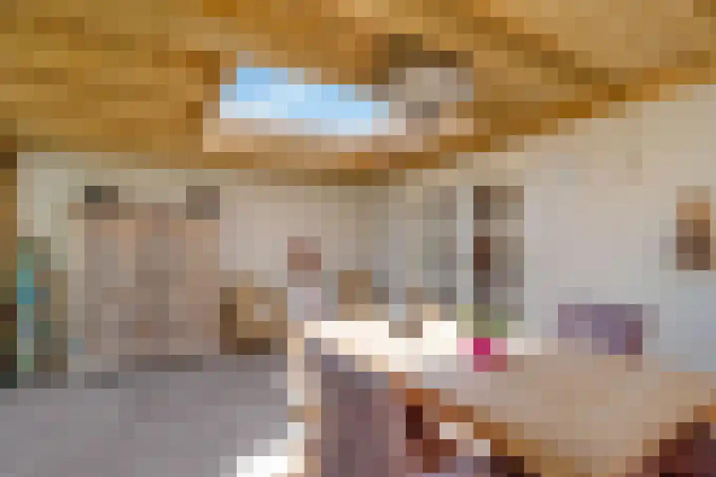 Ninaberlaan 34 h Hellendoorn thumbnail 4
