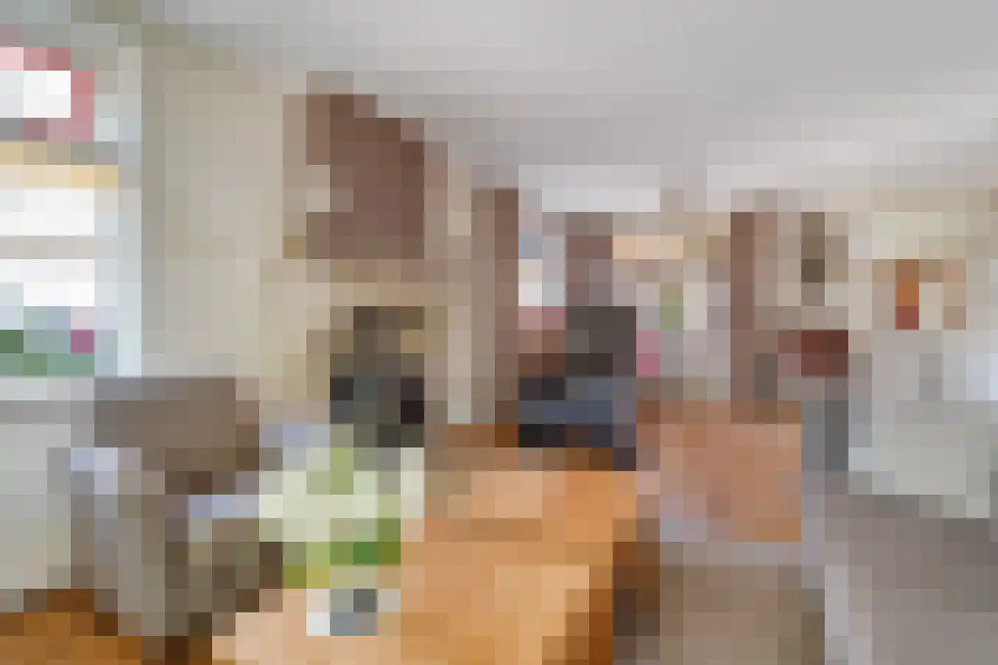 Ninaberlaan 34 h Hellendoorn thumbnail 8