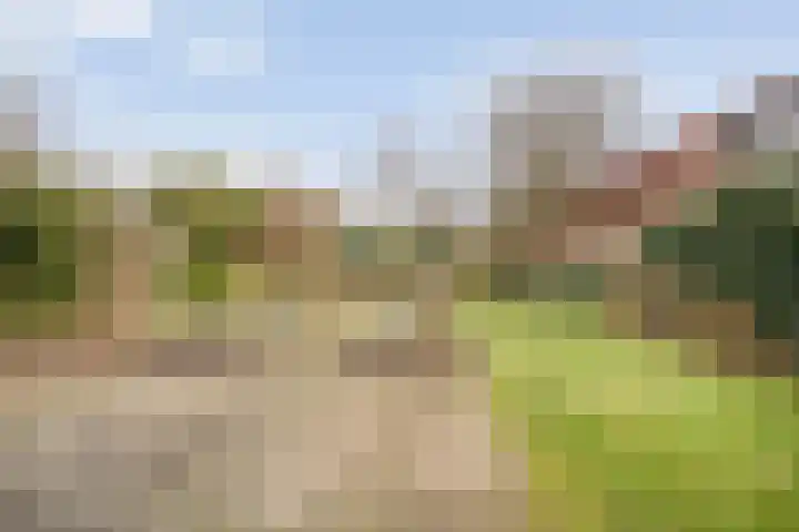 Ninaberlaan 40 Hellendoorn thumbnail 37