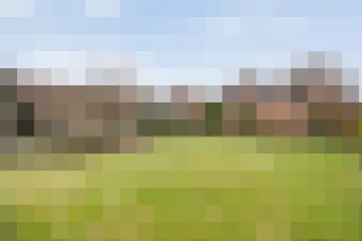 Ninaberlaan 40 Hellendoorn thumbnail 41