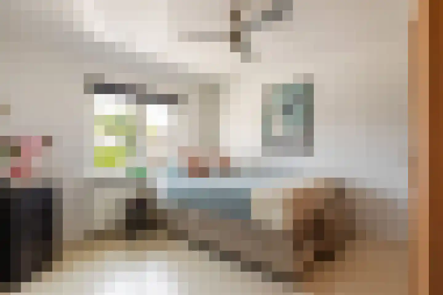 Ninaberlaan 52 a Hellendoorn thumbnail 12