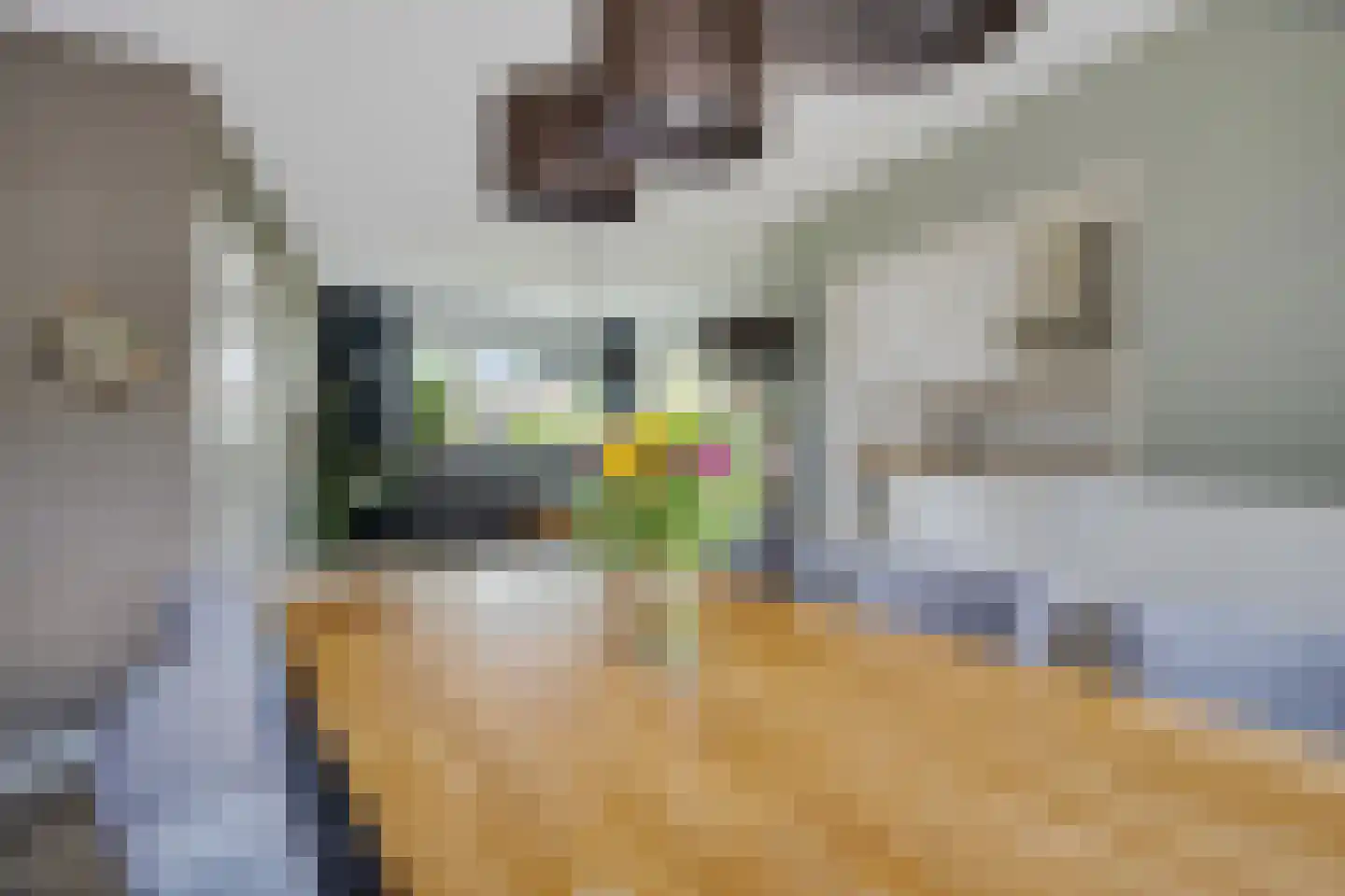 Ninaberstraat 18 Zuidoostbeemster thumbnail 13
