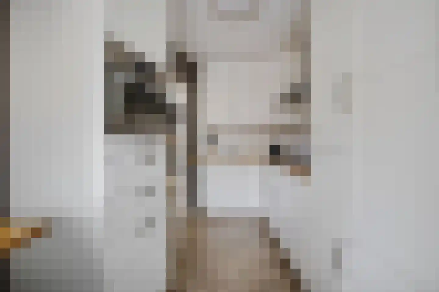 Ninaberstraat 18 Zuidoostbeemster thumbnail 17