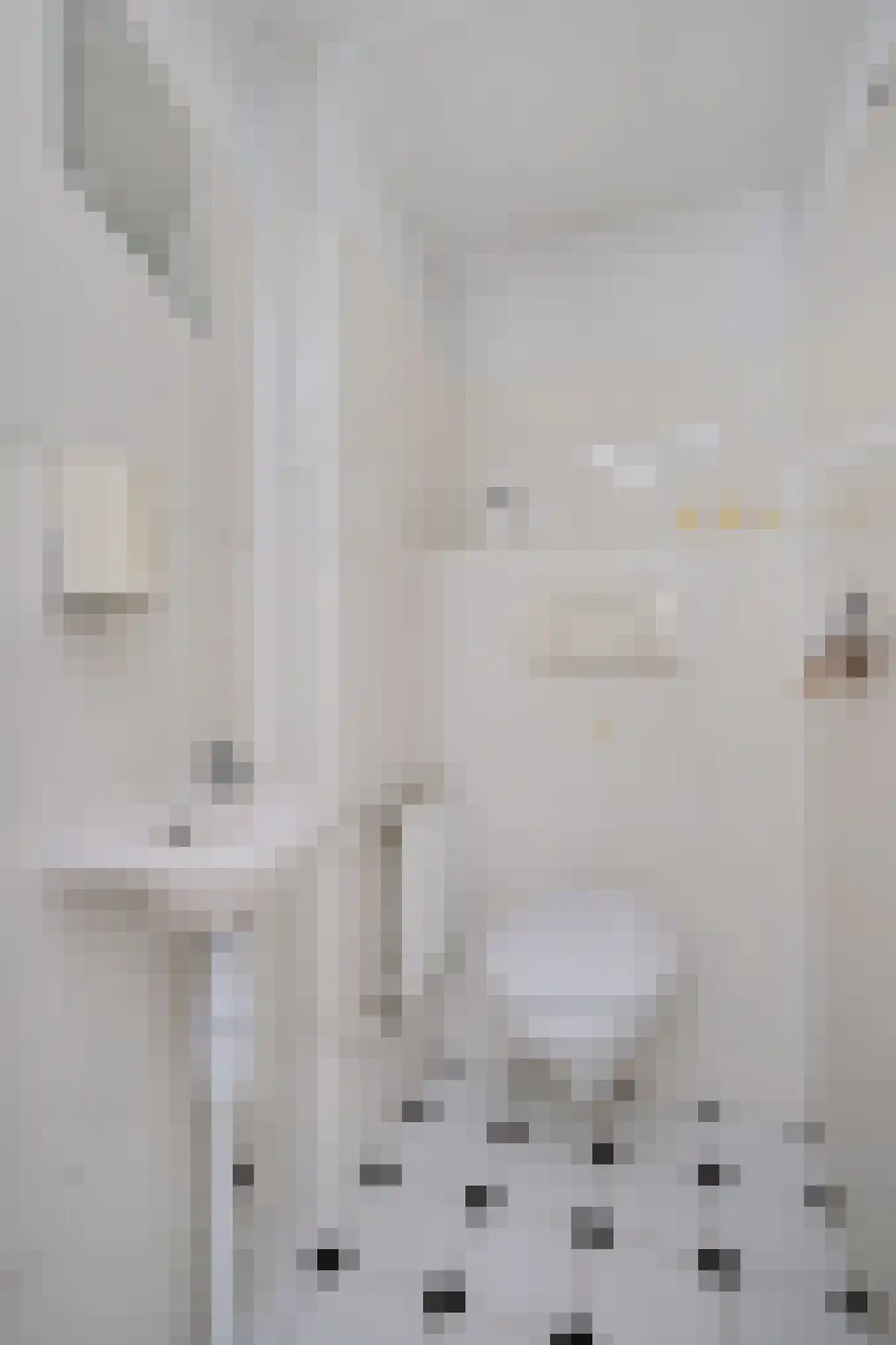 Ninaberstraat 18 Zuidoostbeemster thumbnail 4