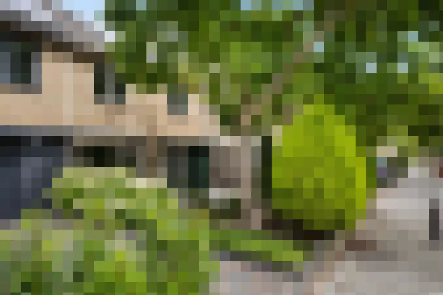 Ninaberstraat 18 Zuidoostbeemster thumbnail 49