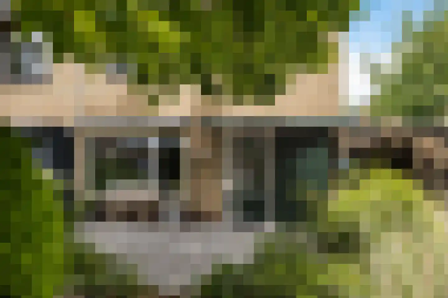 Ninaberstraat 18 Zuidoostbeemster thumbnail 50