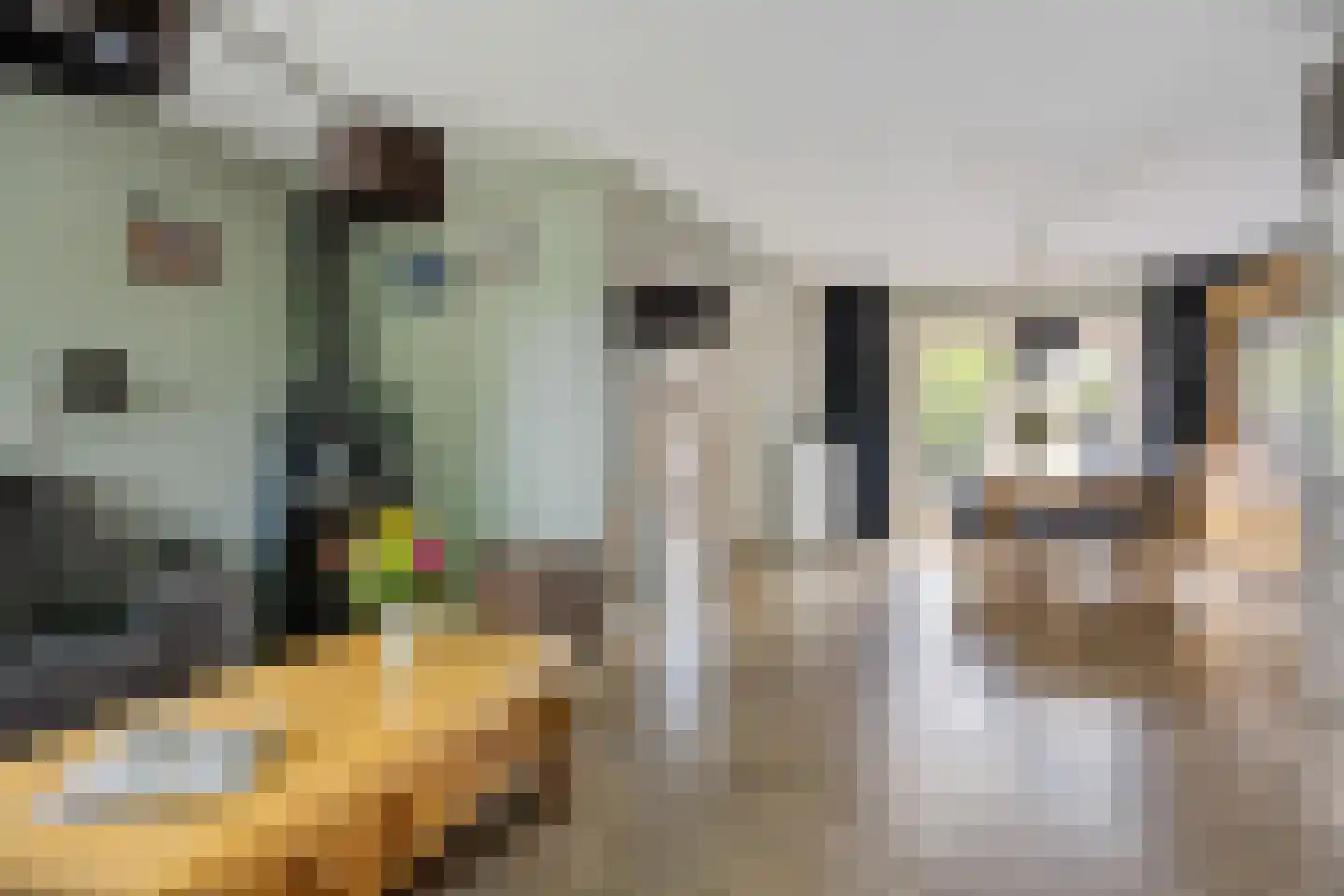 Ninaberstraat 18 Zuidoostbeemster thumbnail 8