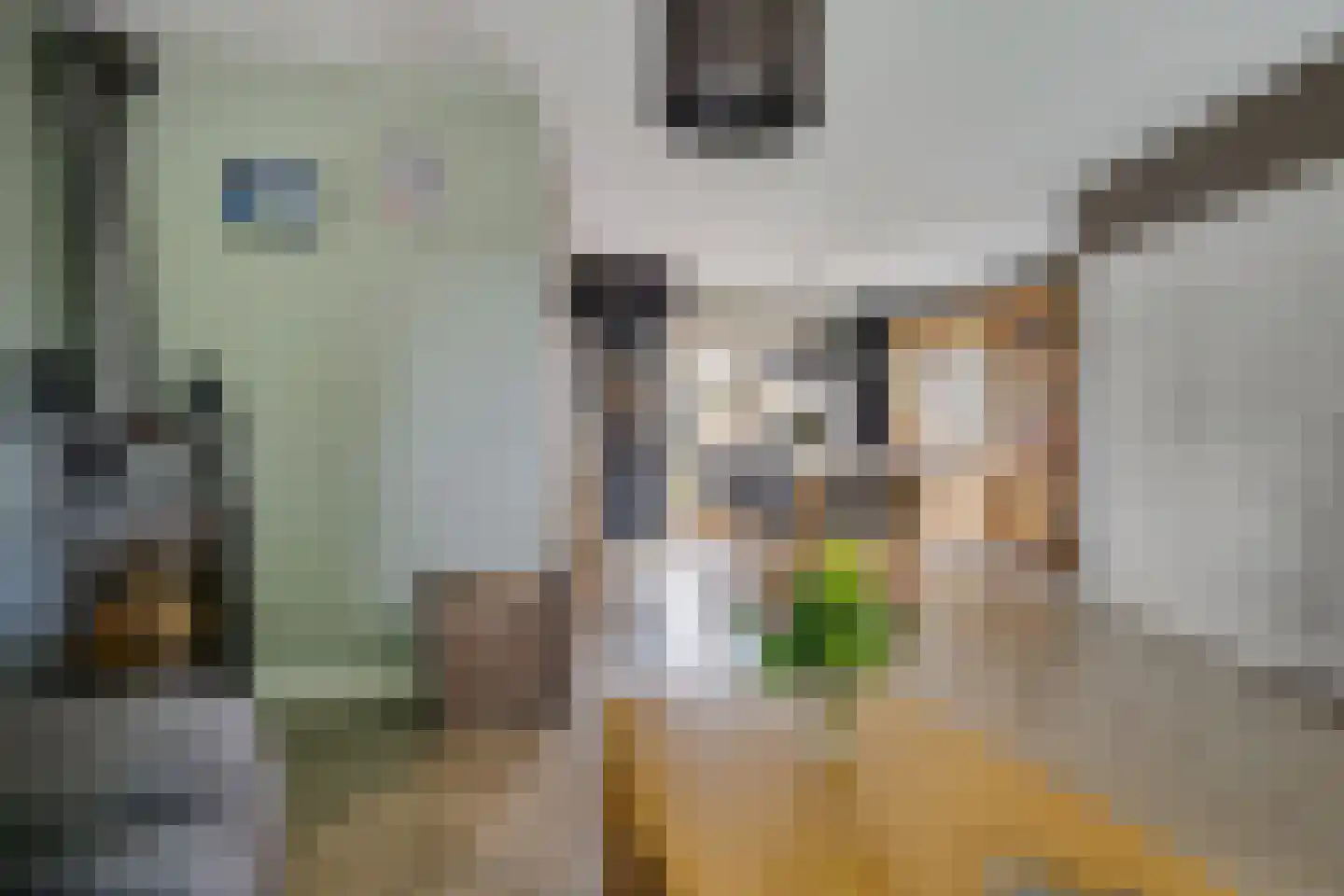 Ninaberstraat 18 Zuidoostbeemster thumbnail 9