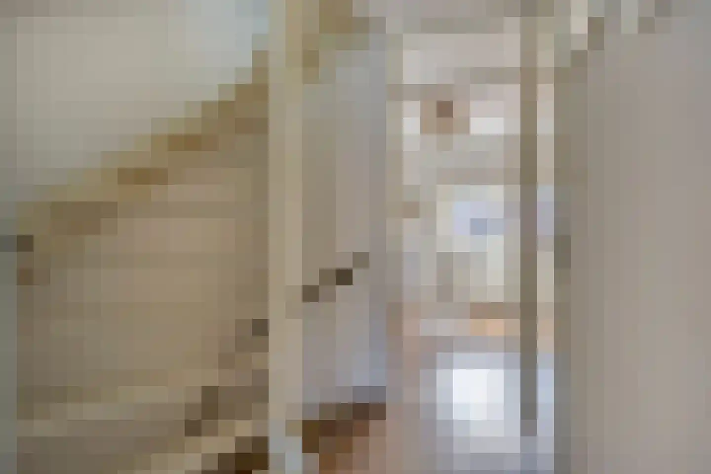 Nineve 7 Amersfoort thumbnail 17