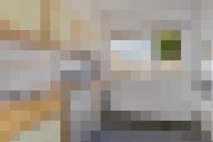 Nink 91 Urk thumbnail 11