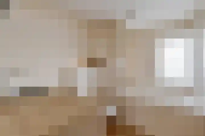 Nink 91 Urk thumbnail 26