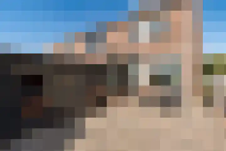 Nink 91 Urk thumbnail 29