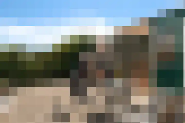 Nink 91 Urk thumbnail 31