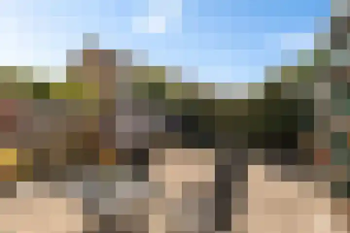 Nink 91 Urk thumbnail 32