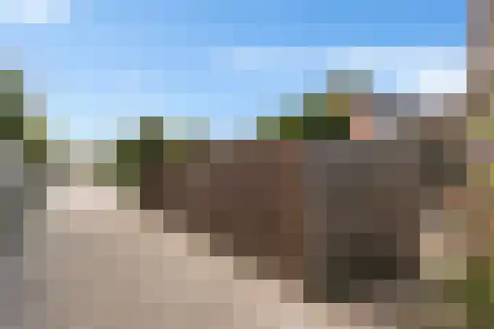 Nink 91 Urk thumbnail 33