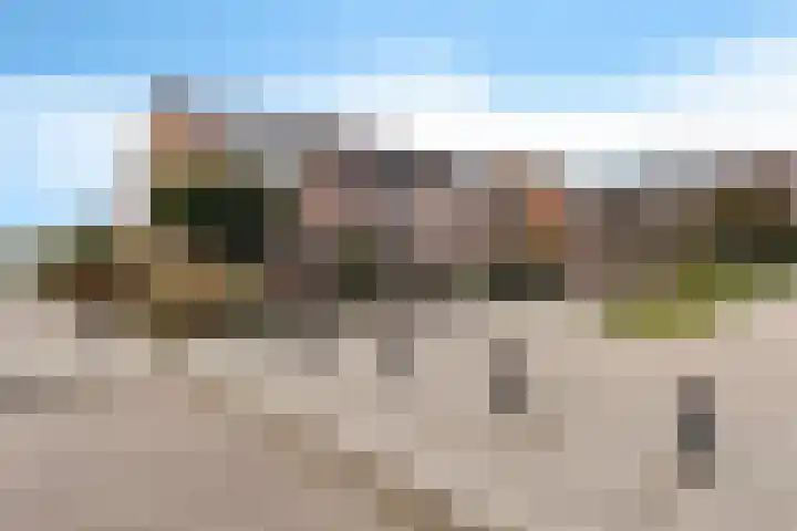 Nink 91 Urk thumbnail 4