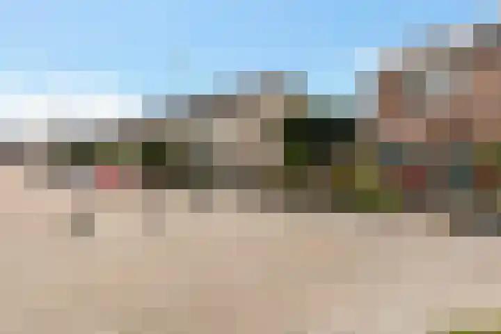 Nink 91 Urk thumbnail 5