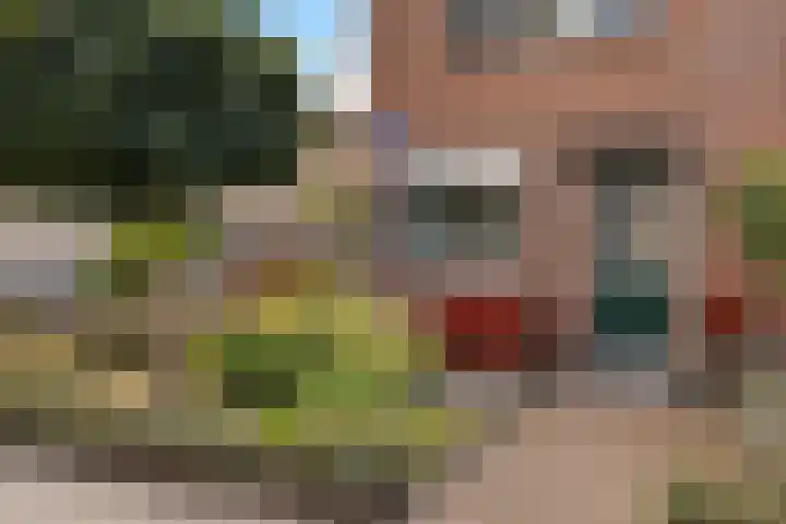 Nink 91 Urk thumbnail 6