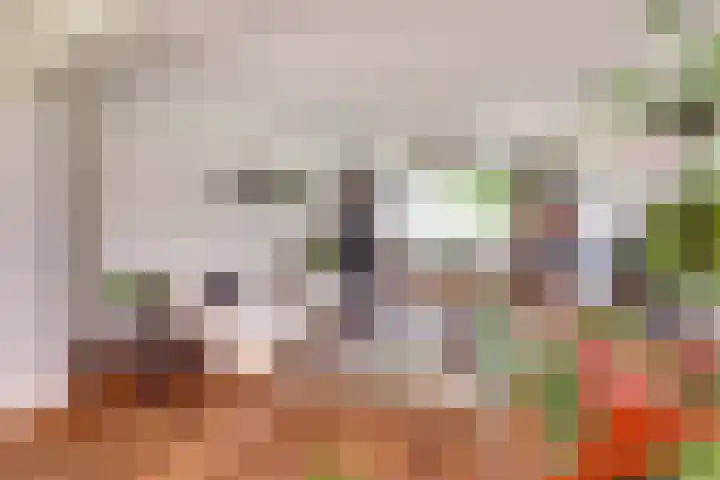 Ninnesweg 107 Panningen thumbnail 10