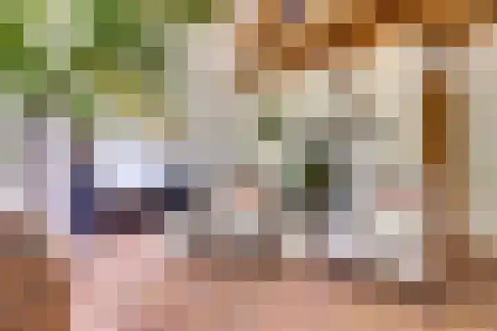 Ninnesweg 107 Panningen thumbnail 17