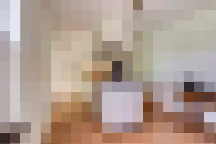 Ninnesweg 107 Panningen thumbnail 18