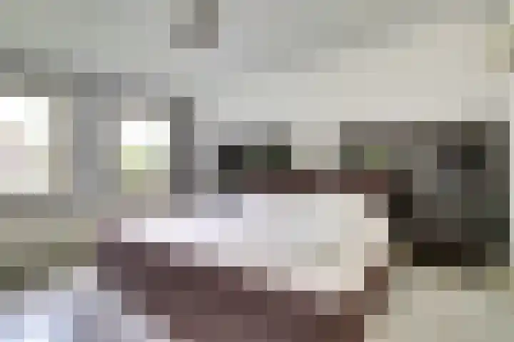 Ninnesweg 107 Panningen thumbnail 19