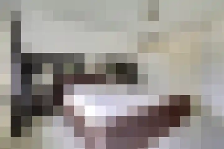 Ninnesweg 107 Panningen thumbnail 20