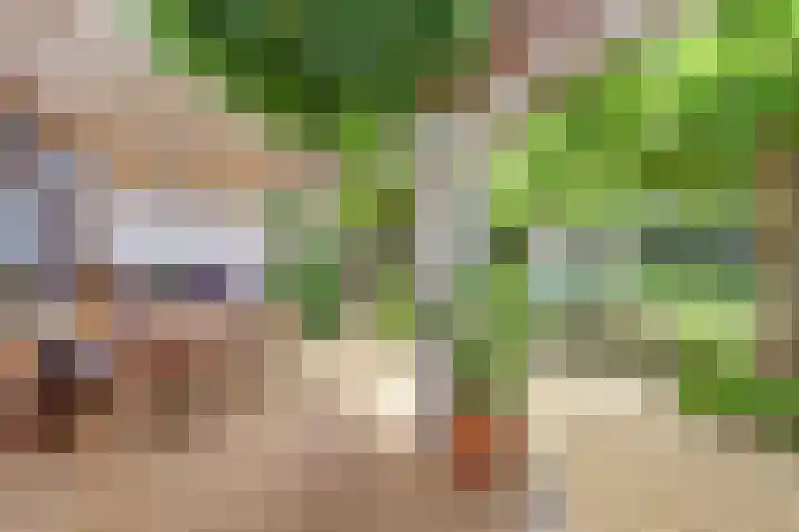 Ninnesweg 107 Panningen thumbnail 26