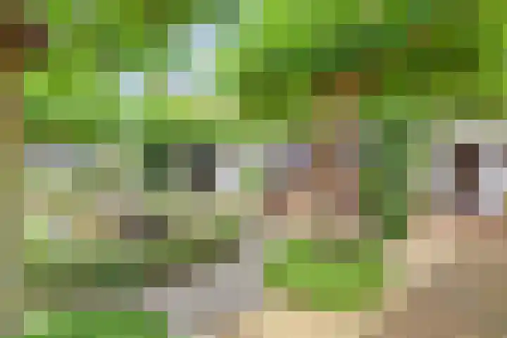 Ninnesweg 107 Panningen thumbnail 28