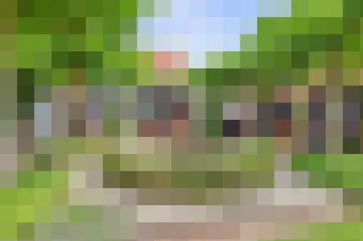 Ninnesweg 107 Panningen thumbnail 29