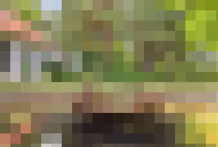 Ninnesweg 107 Panningen thumbnail 30